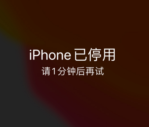 茂名苹果手机维修分享:iPhone 显示“不可用”或“已停用”怎么办？还能保留数据吗？ 