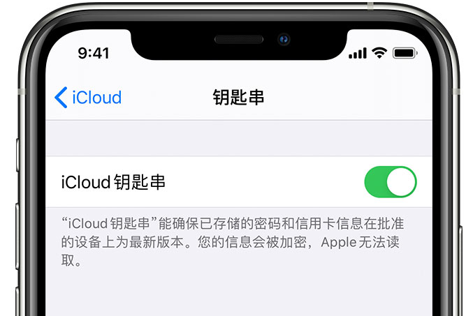 茂名苹果手机维修分享在 iPhone 上开启 iCloud 钥匙串之后会储存哪些信息 